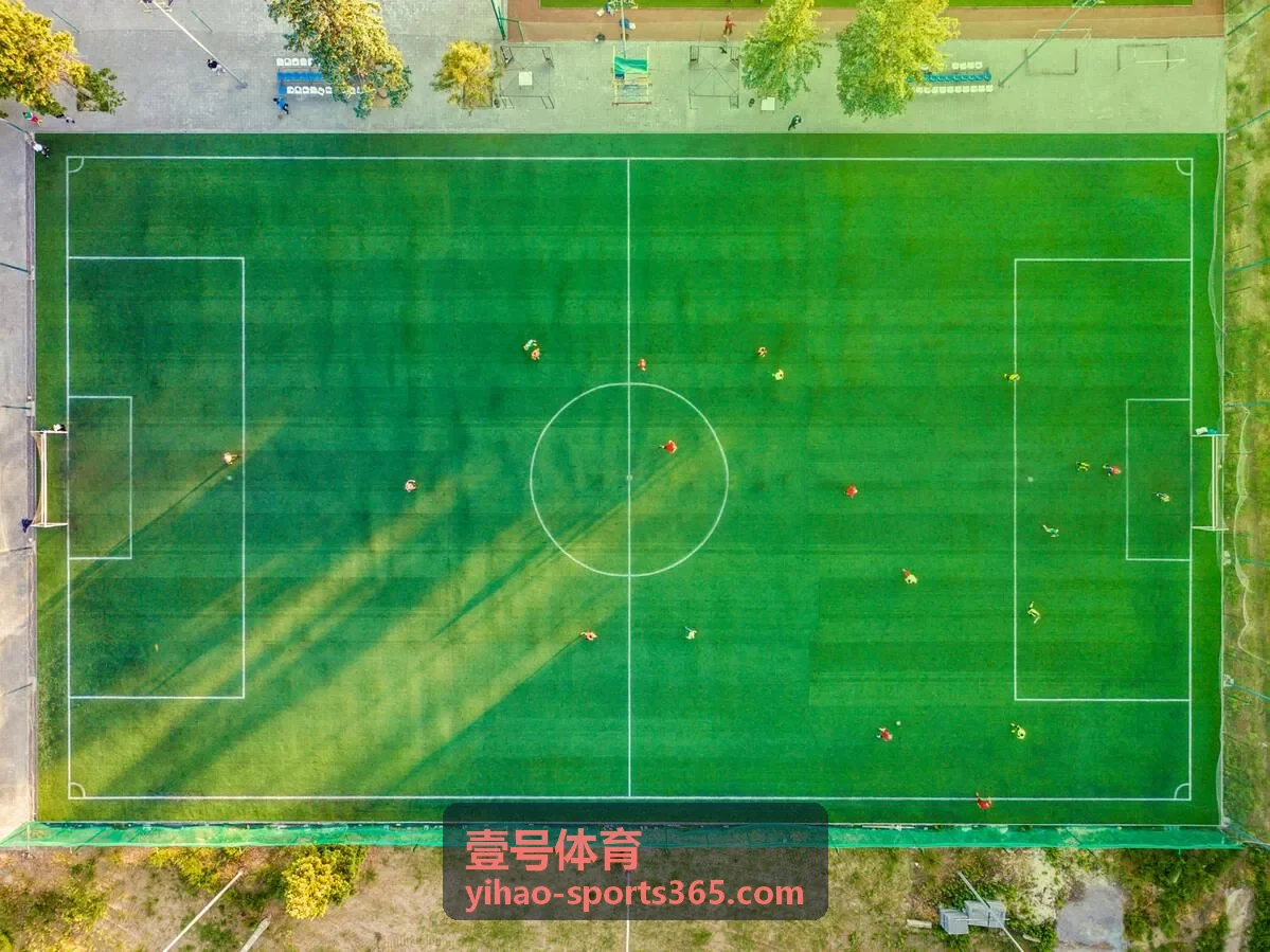 壹号体育场馆建设实景
